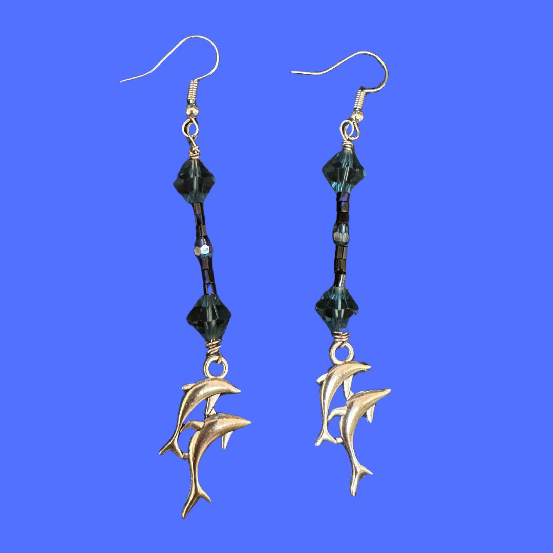 Beach's and Seashells: Dark Dolphins
