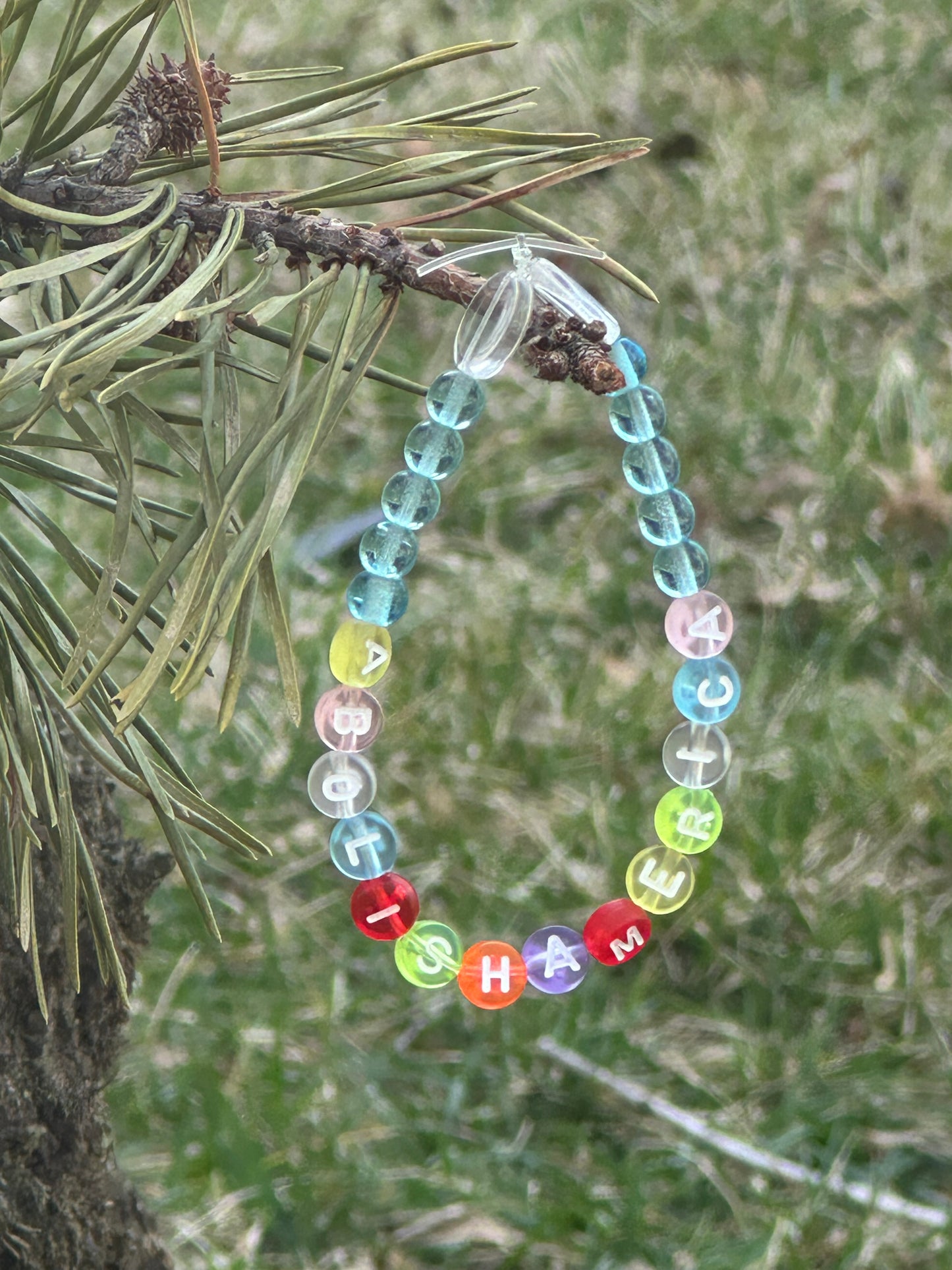 Abolish America Bracelet