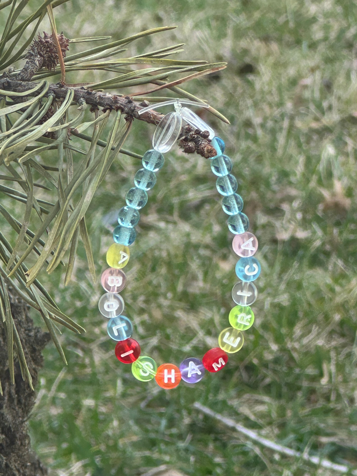 Abolish America Bracelet