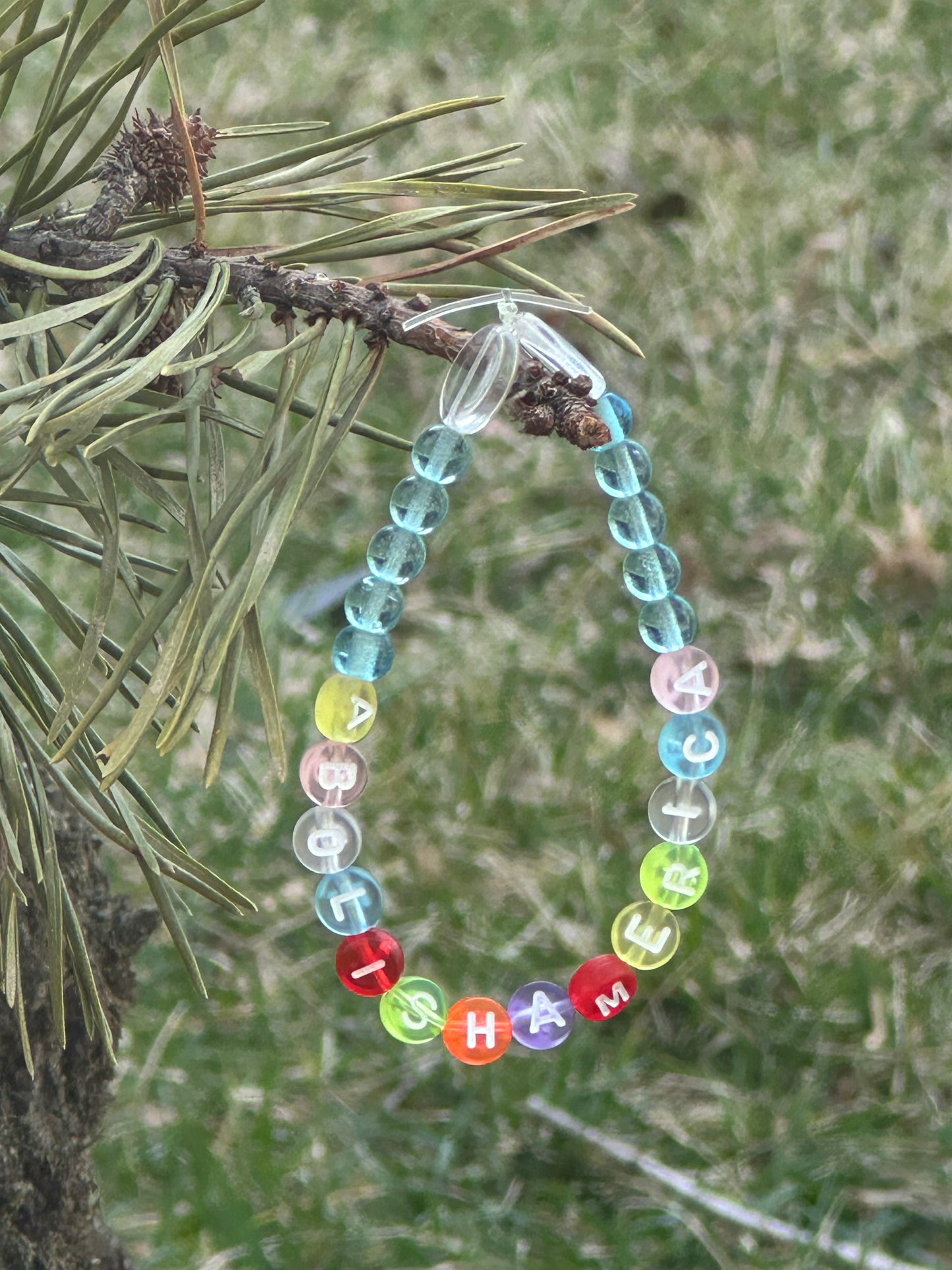 Abolish America Bracelet